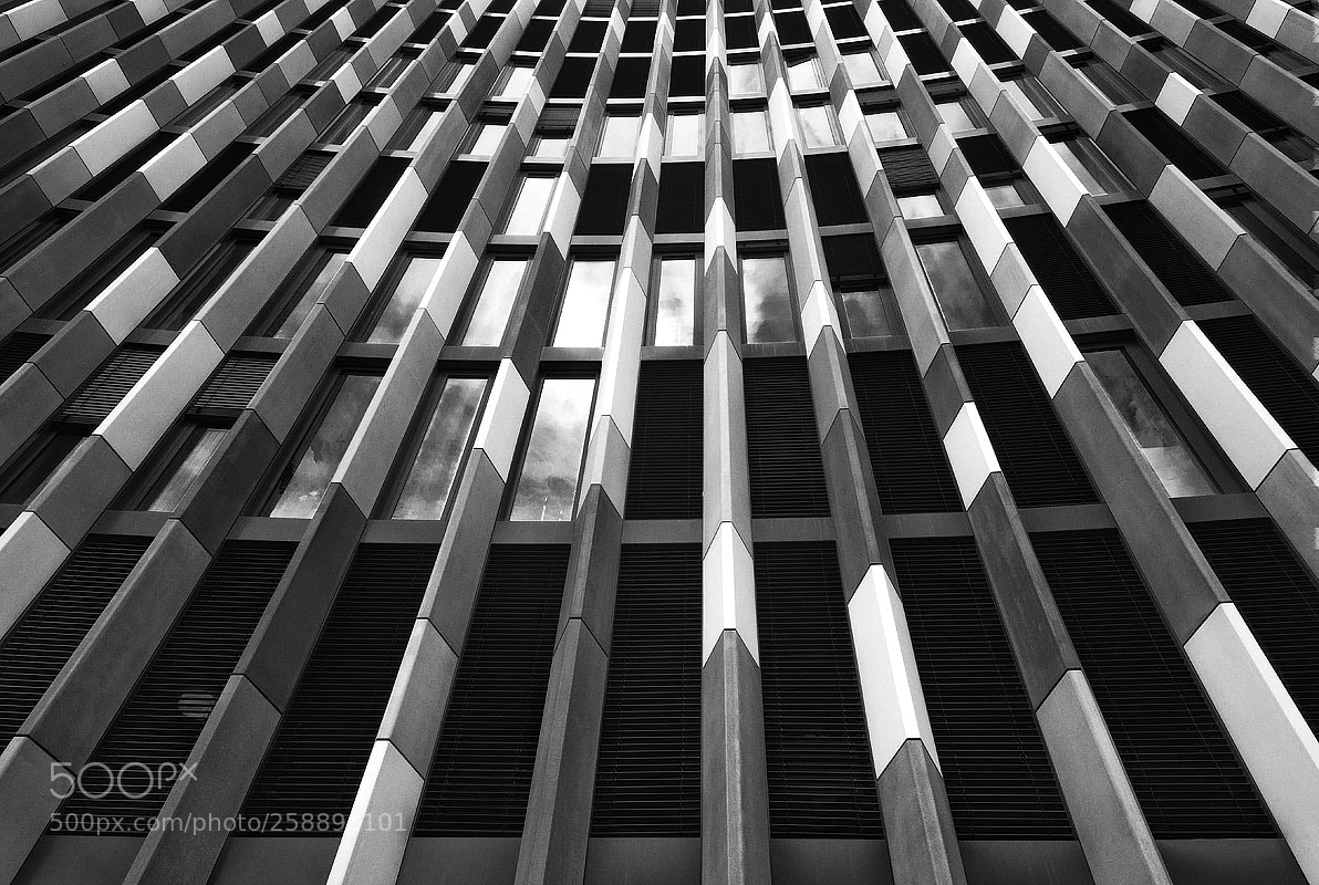 Nikon D500 sample photo. Jamas bw 030 photography