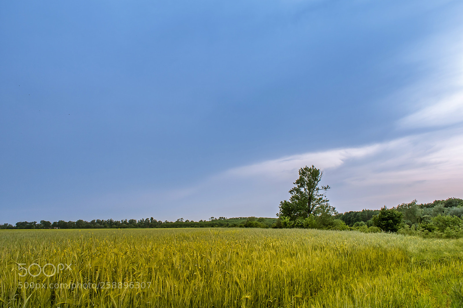 Canon EOS 750D (EOS Rebel T6i / EOS Kiss X8i) sample photo. Before the storm photography