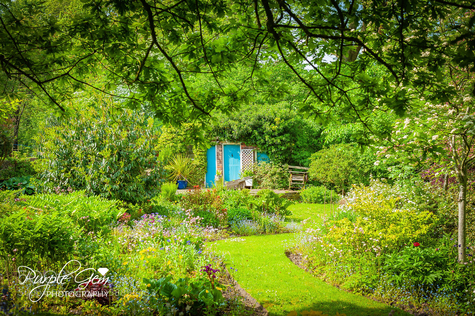 Nikon D700 sample photo. Secret garden  photography