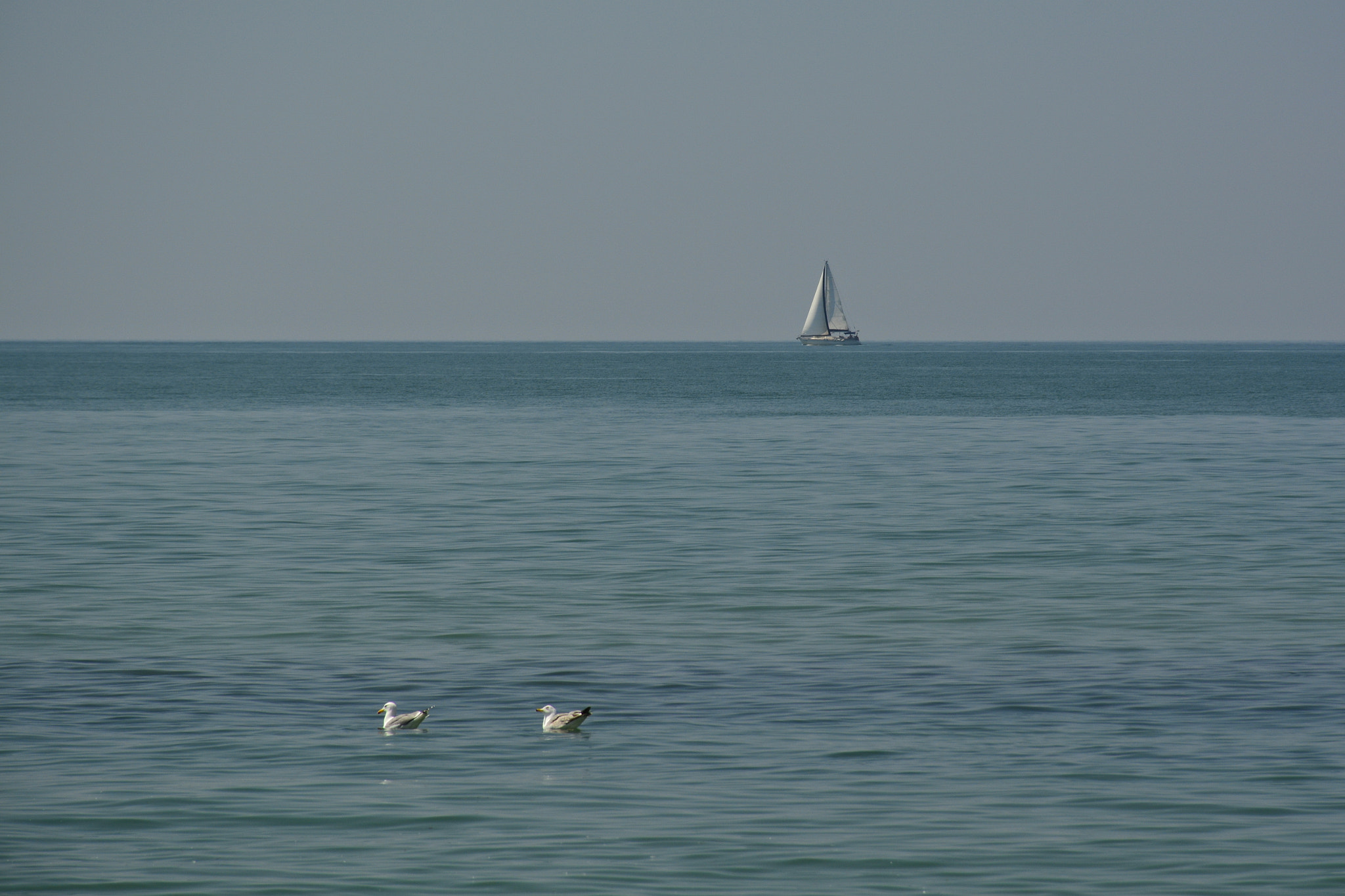 Nikon D7100 sample photo. Meer photography