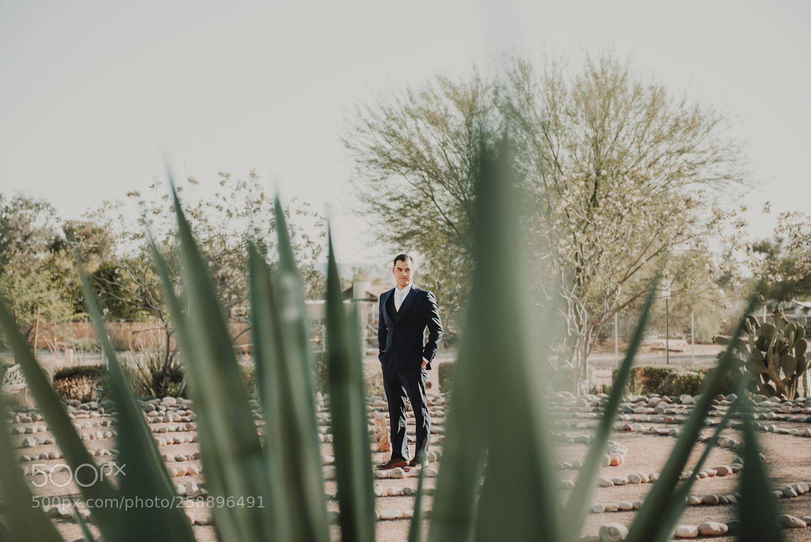 Nikon D750 sample photo. Groom photography