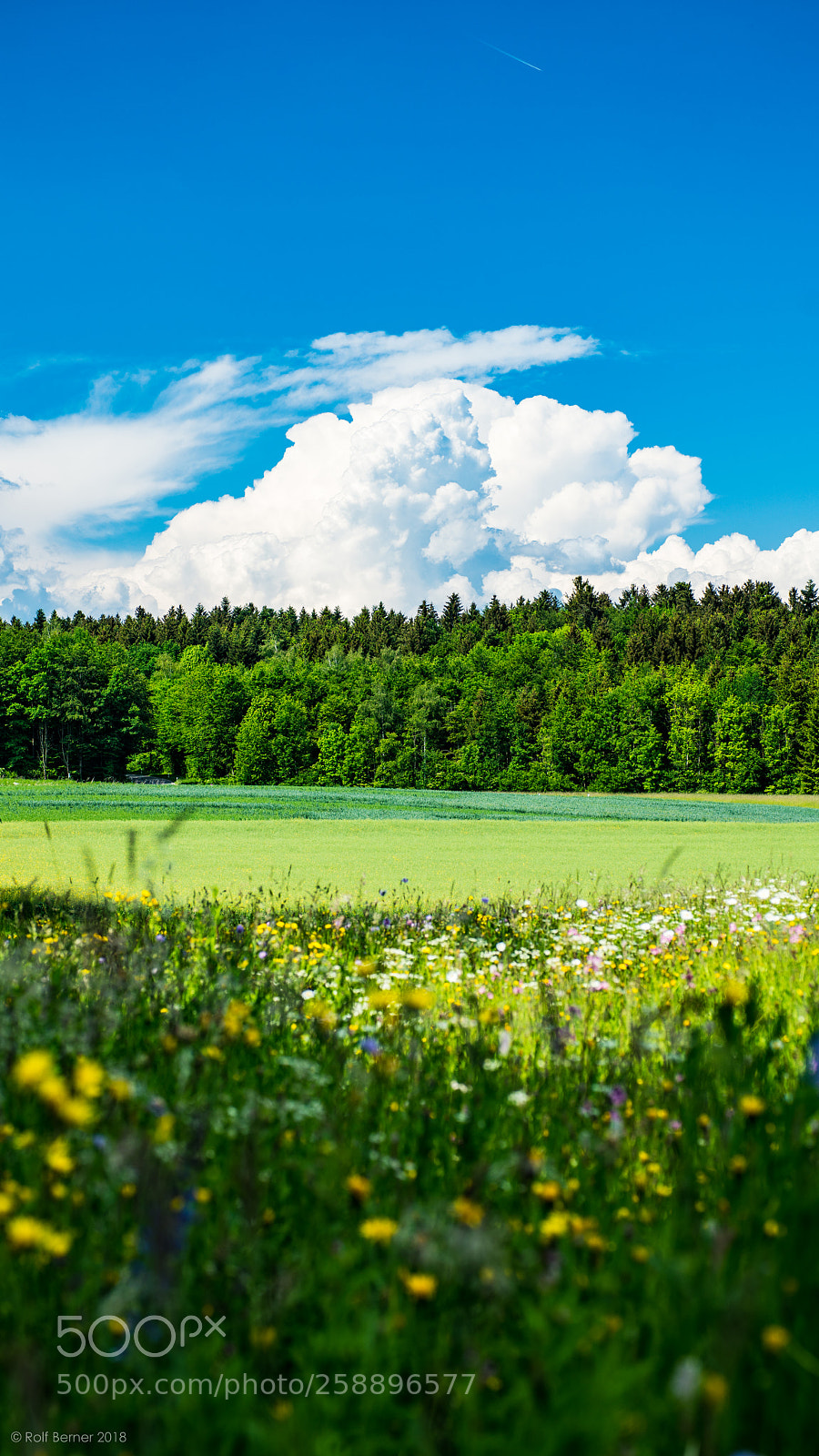 Sony a99 II sample photo. Meadow 1 photography