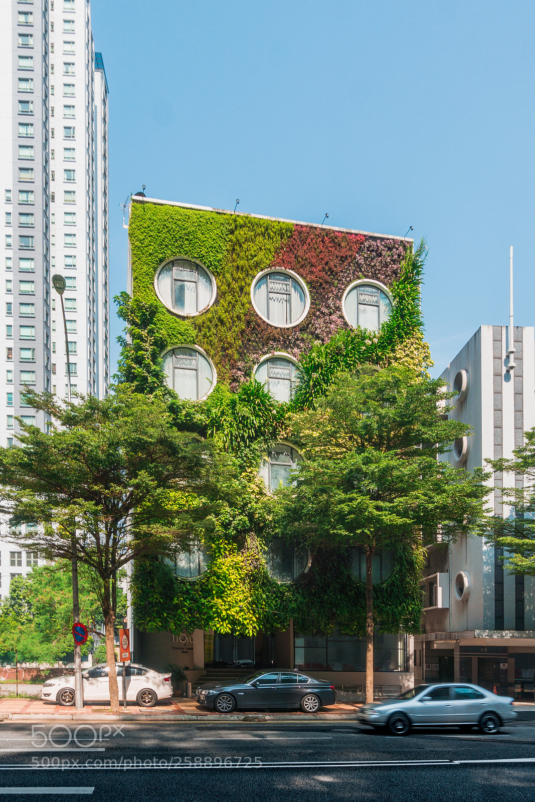 Sony a6000 sample photo. Green architecture photography