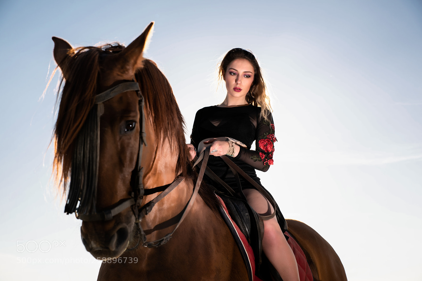 Nikon D810 sample photo. I'm back photography