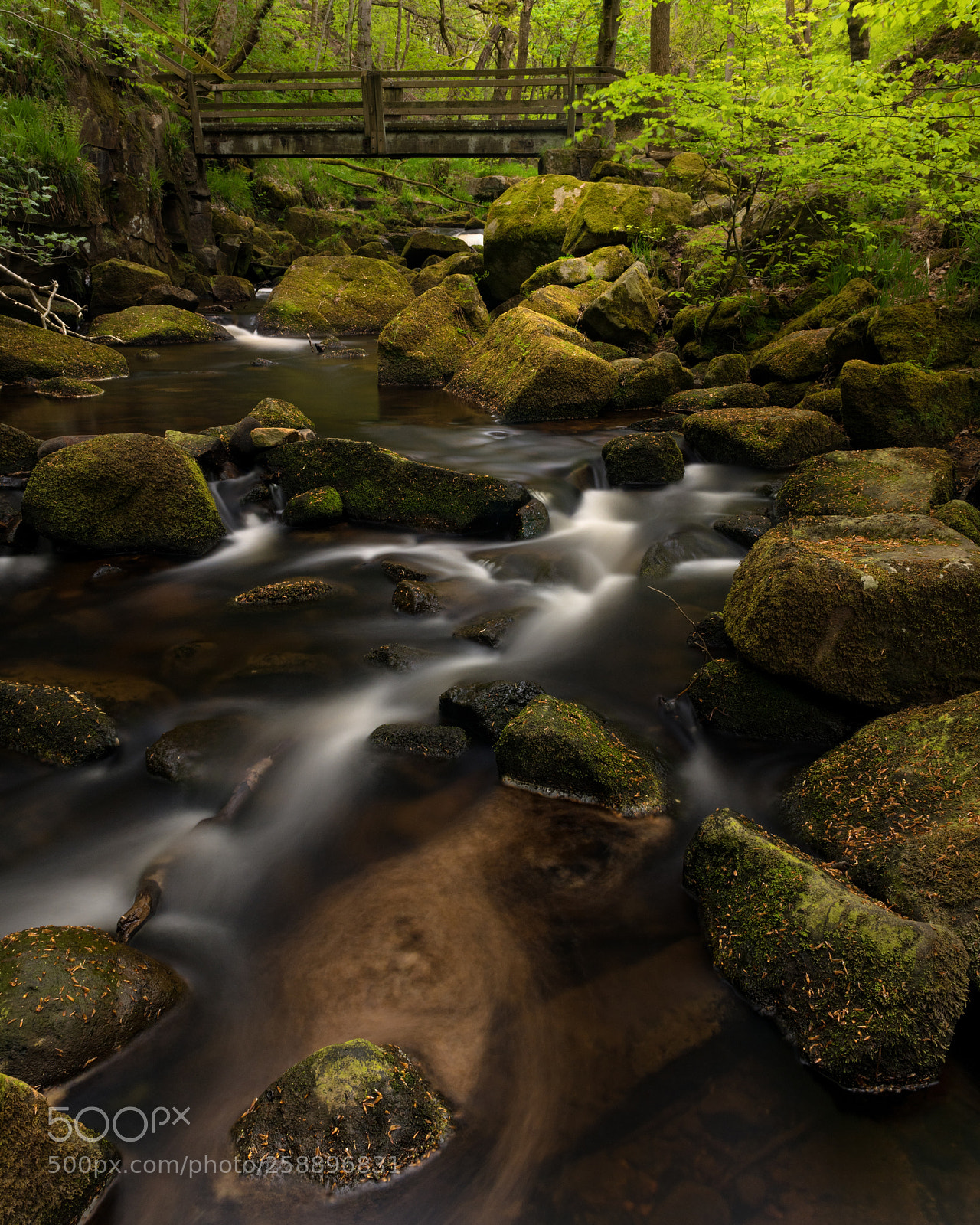Nikon D850 sample photo. Bridge over burbage brook photography