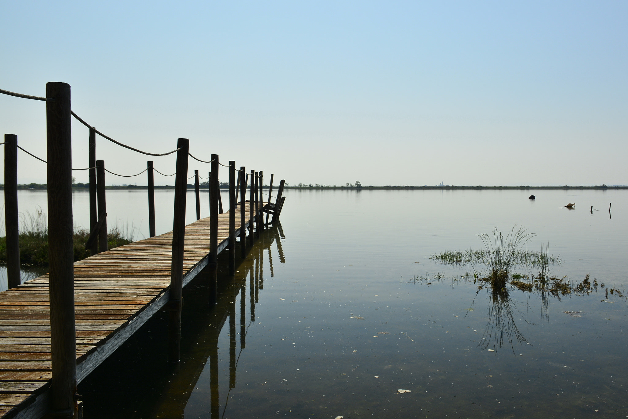 Nikon D7100 sample photo. Steg photography