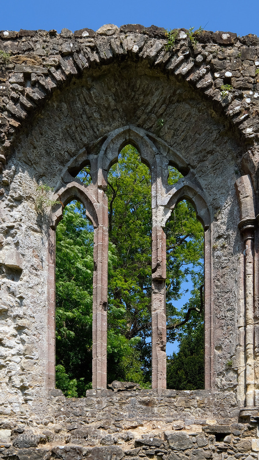 Fujifilm X-T20 sample photo. Framed in time photography