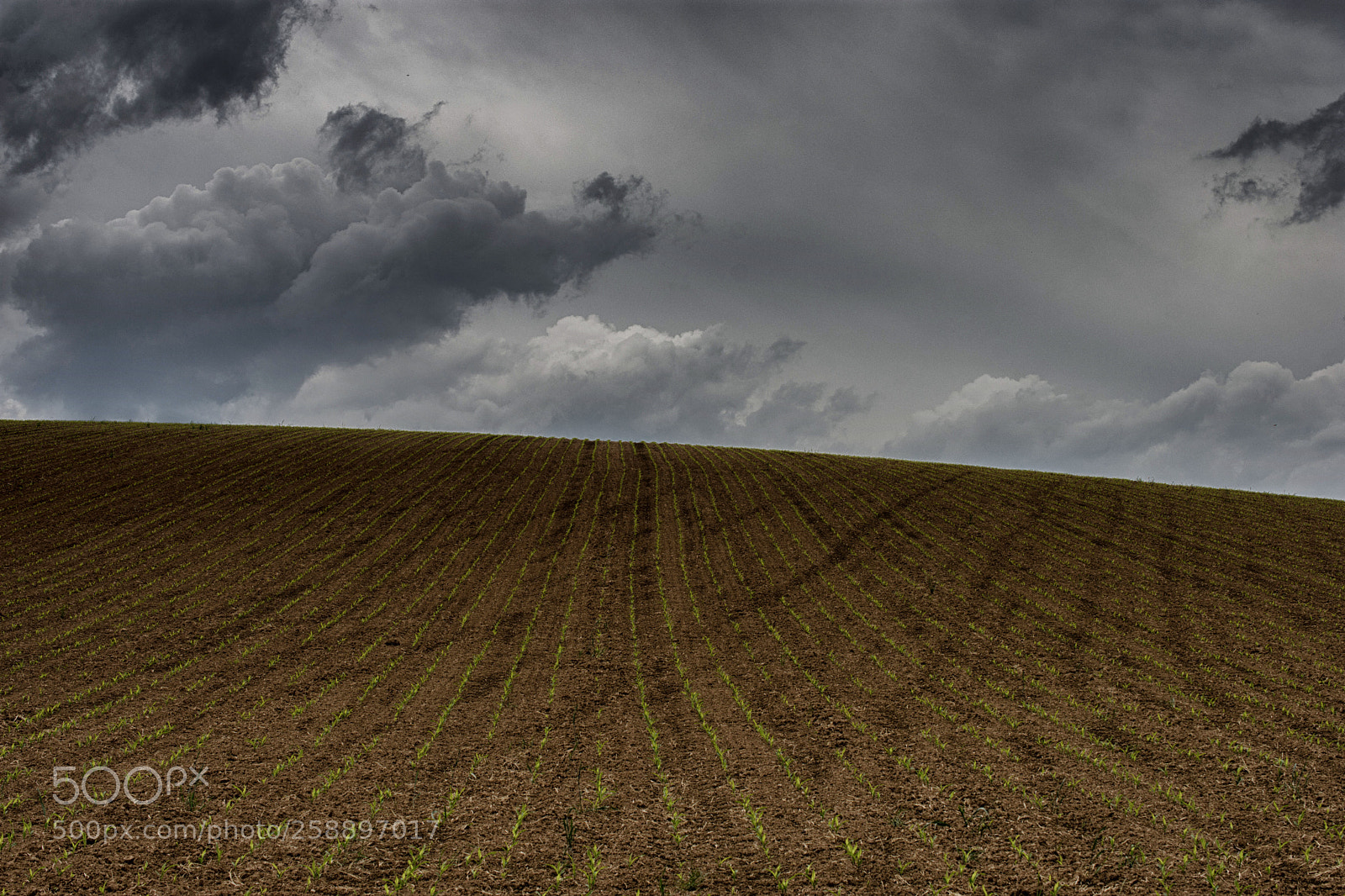 Nikon D7200 sample photo. Landscape minimalism photography