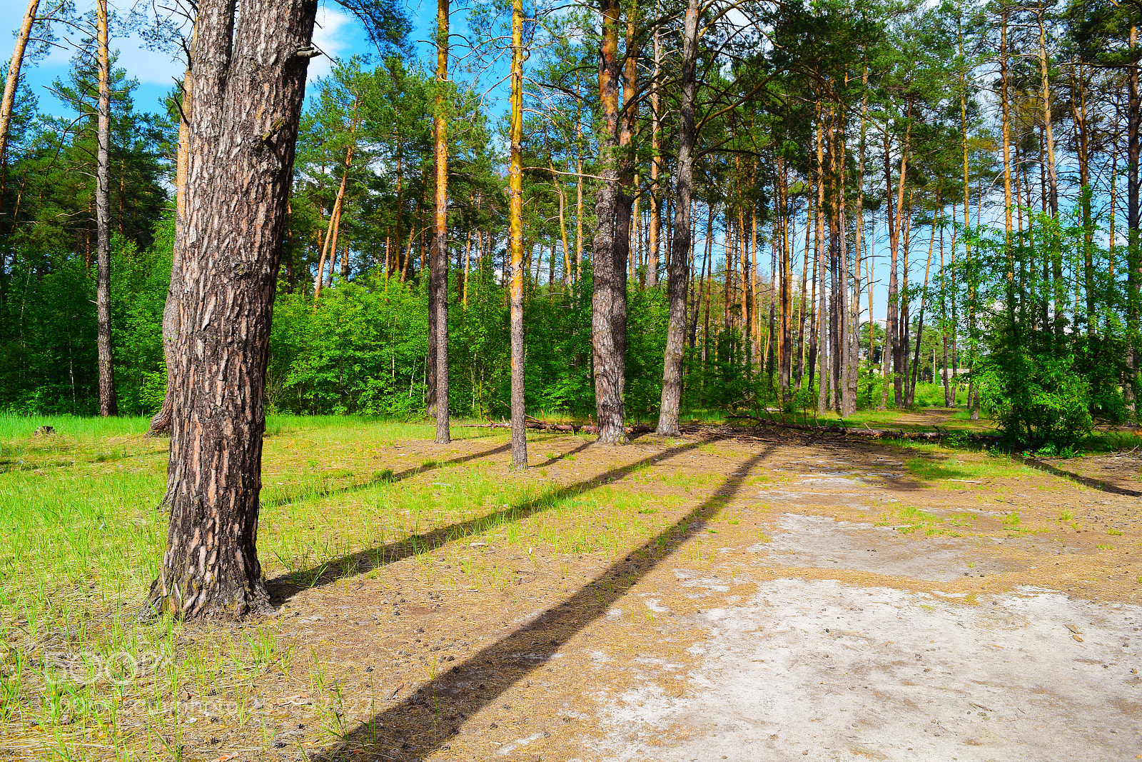 Nikon D5300 sample photo. Incredibly beautiful landscape of photography