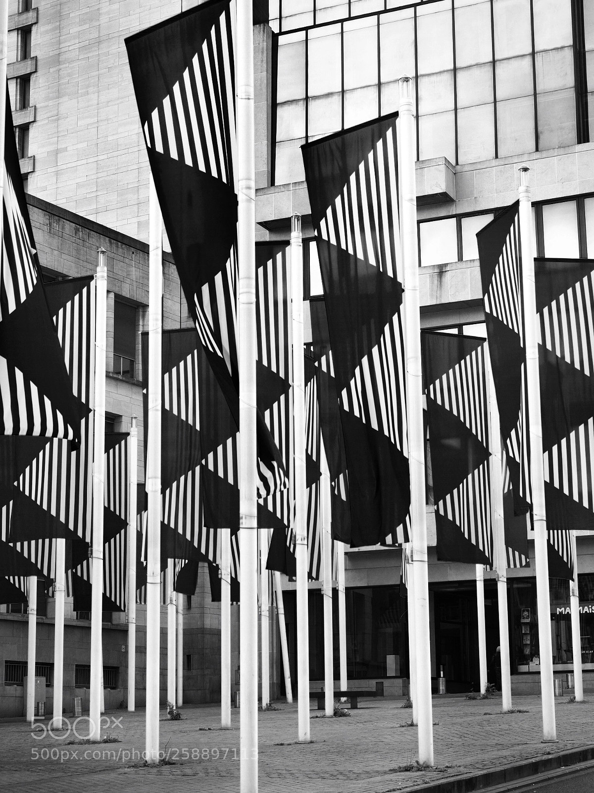 Olympus OM-D E-M10 II sample photo. Flags | 2 photography