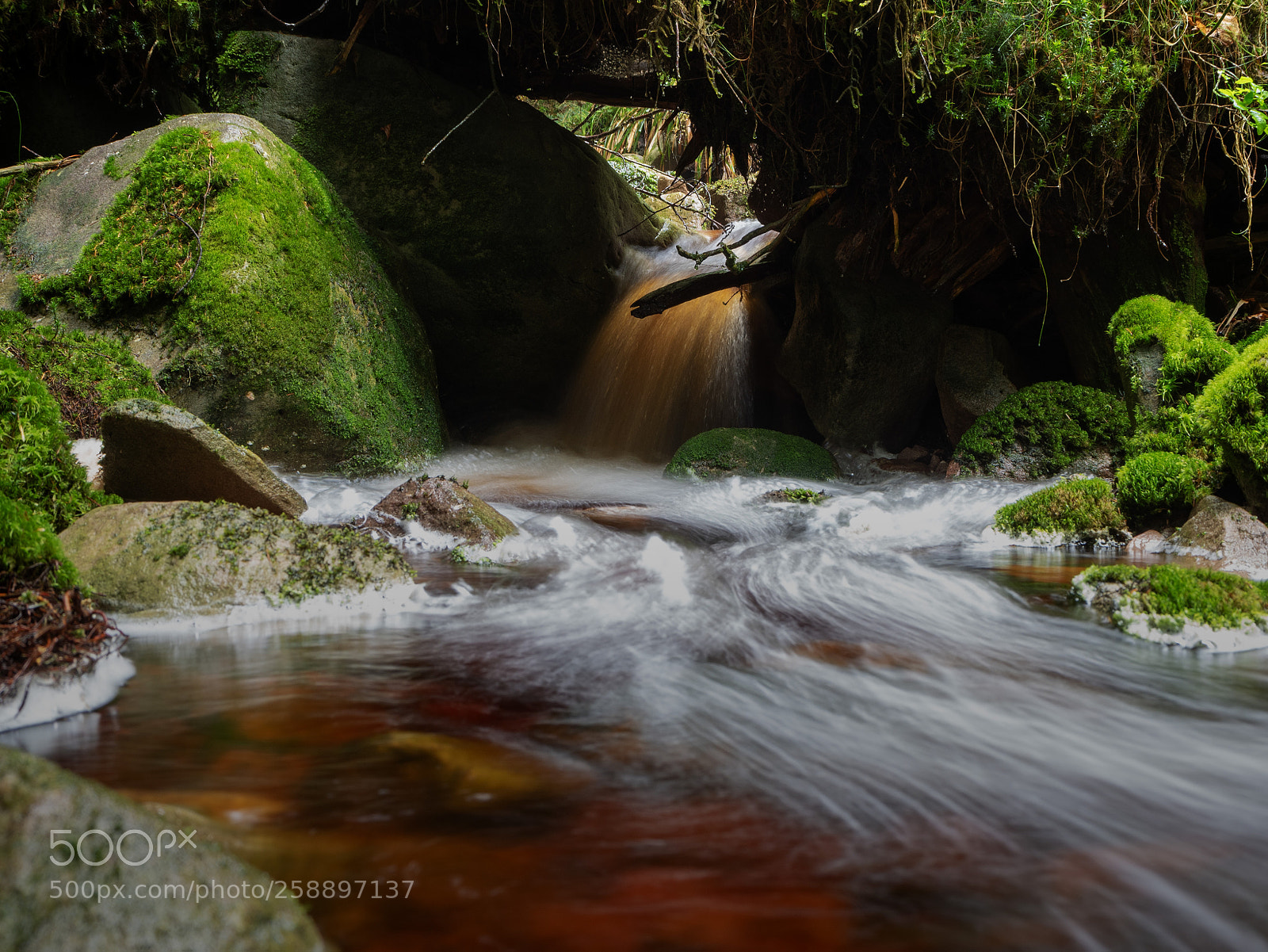 Olympus OM-D E-M5 II sample photo. My favorite stream photography