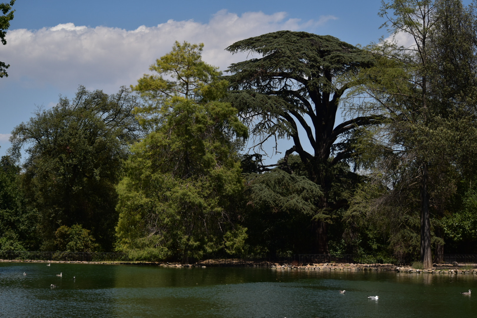 Nikon D5500 sample photo