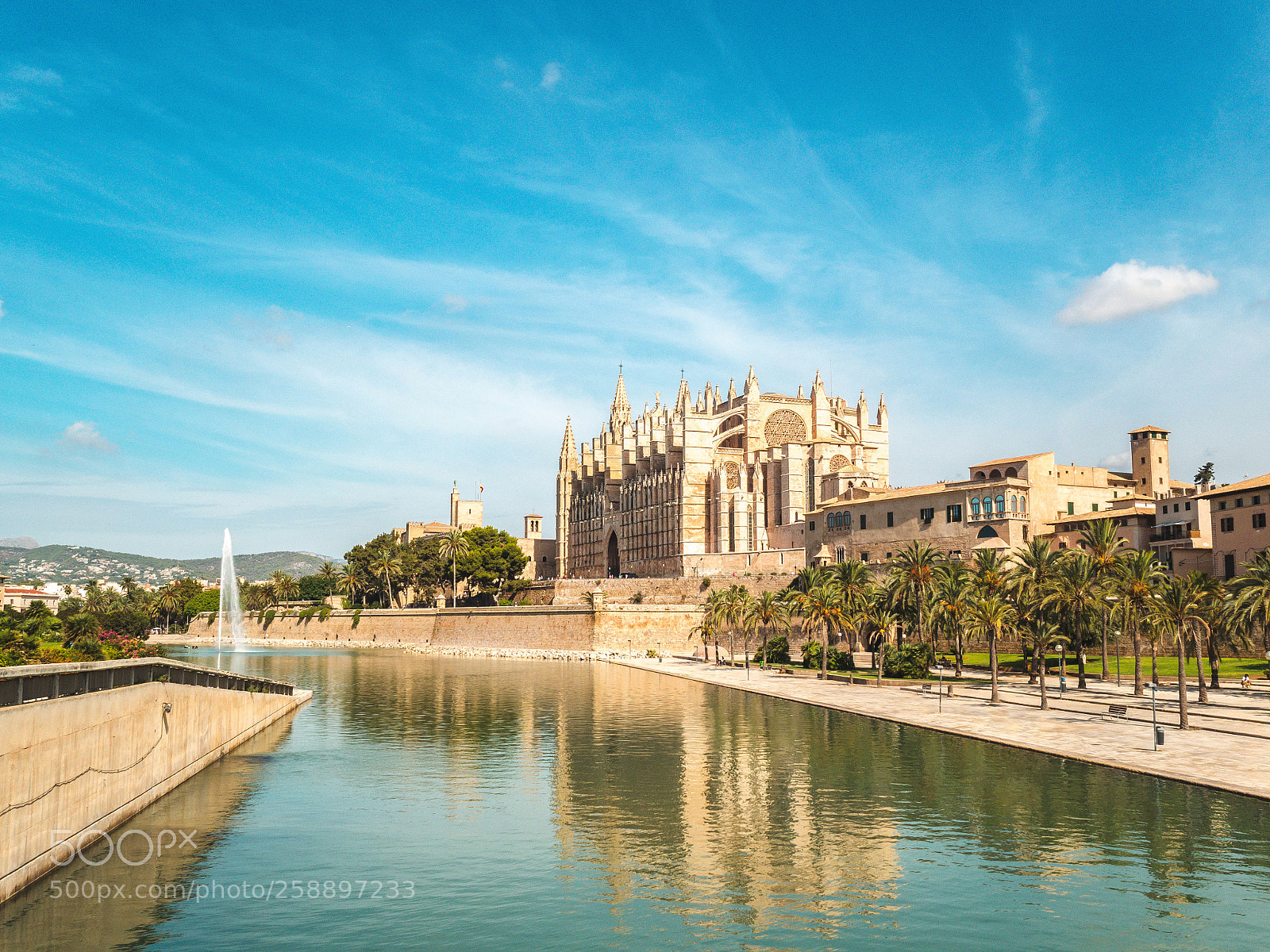 Olympus OM-D E-M1 sample photo. Cathedral of palma photography