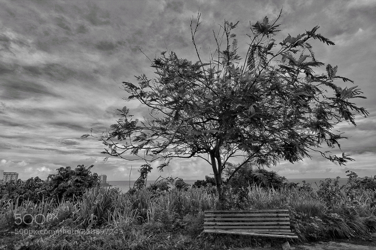 Canon EOS 1200D (EOS Rebel T5 / EOS Kiss X70 / EOS Hi) sample photo. Lonely bench photography