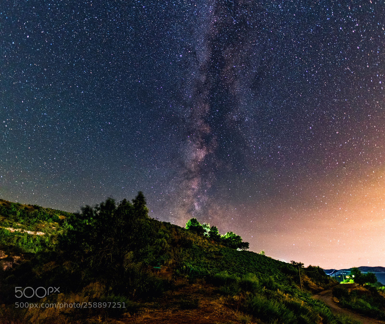 Nikon D750 sample photo. Milky way over vineyards photography