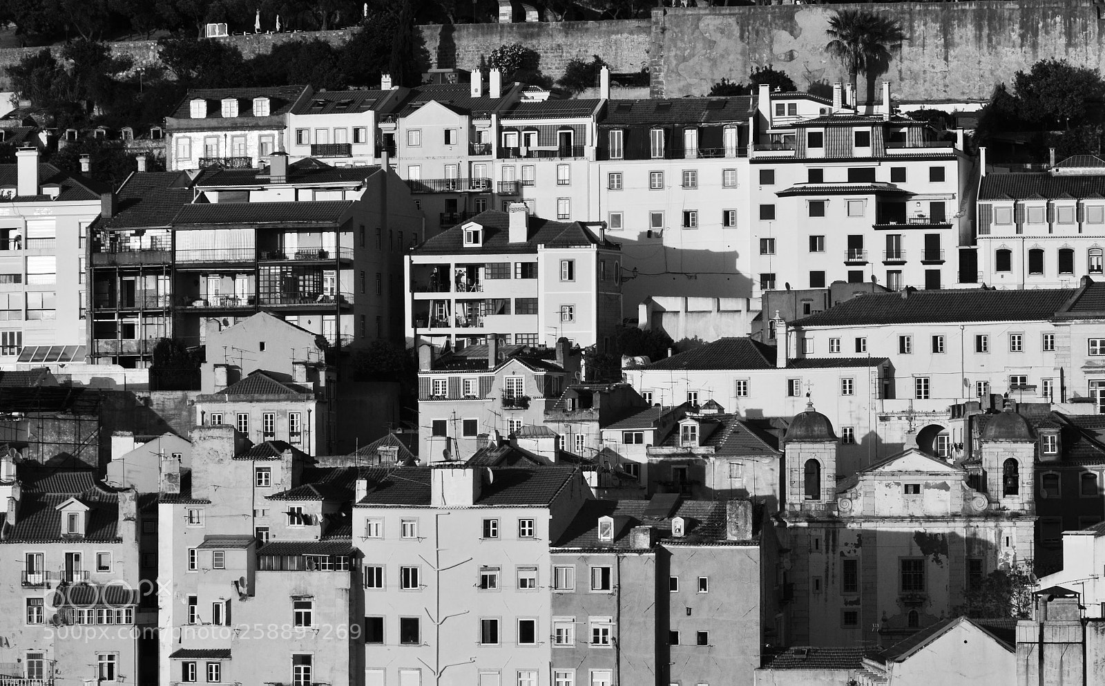 Nikon D5000 sample photo. Anthill photography