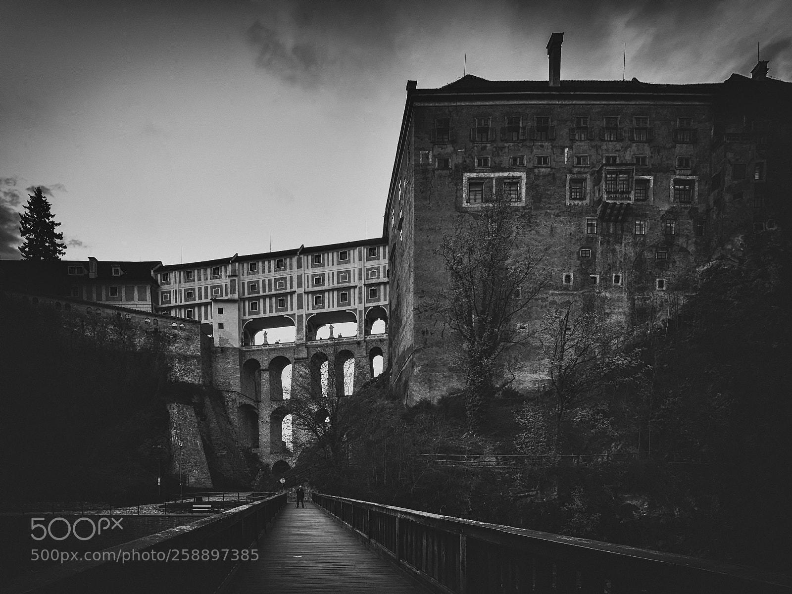 Nikon D610 sample photo. Horní hrad photography