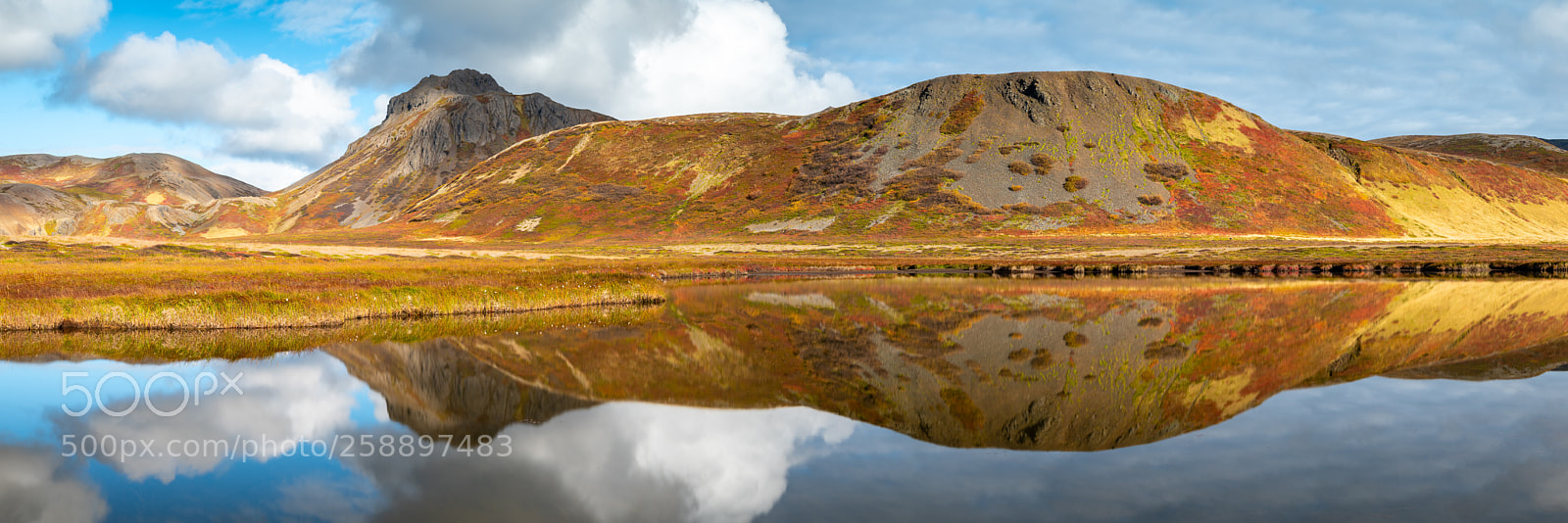 Nikon D750 sample photo. Automn reflection in the photography