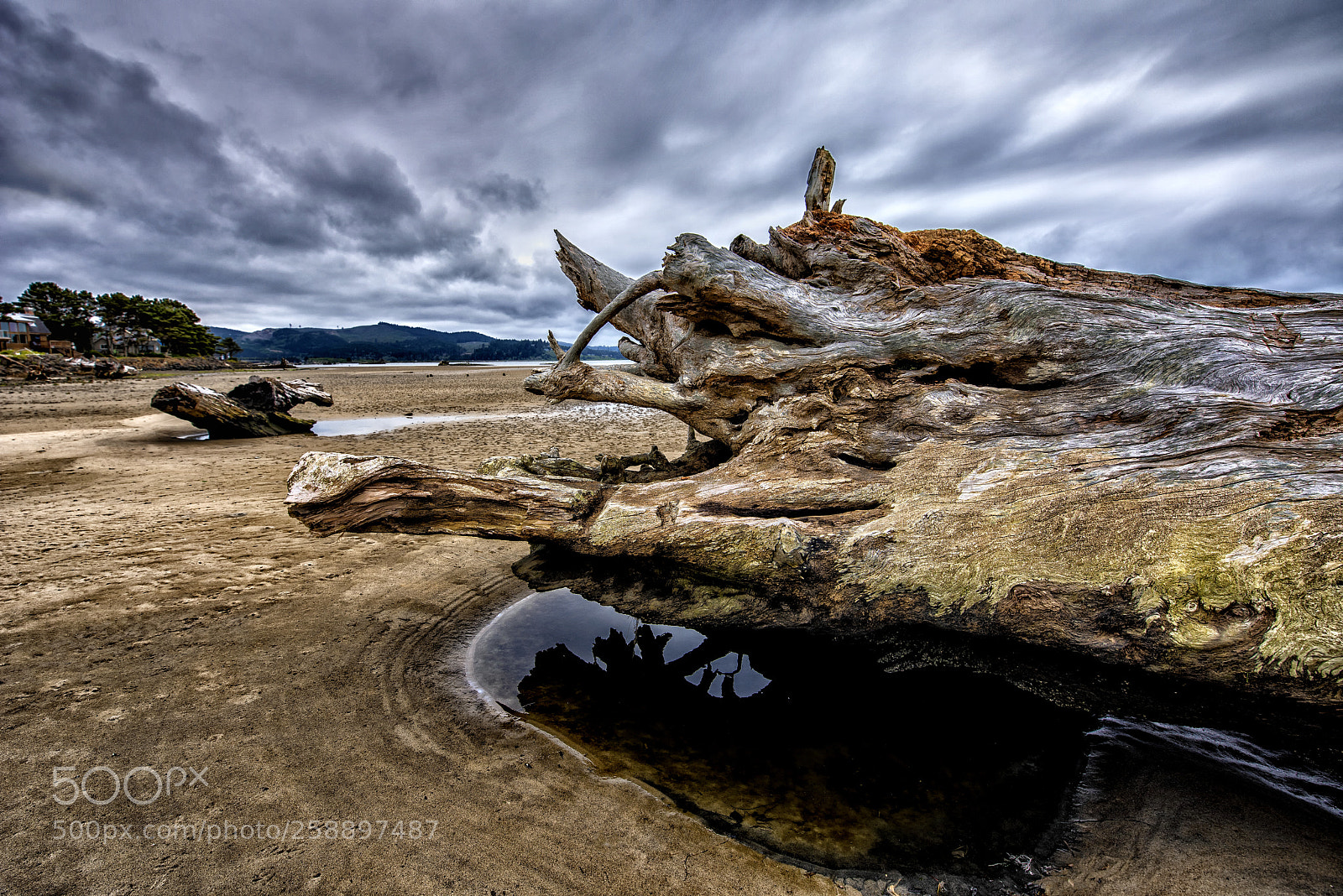 Nikon D810 sample photo. Depoe bay 3 photography