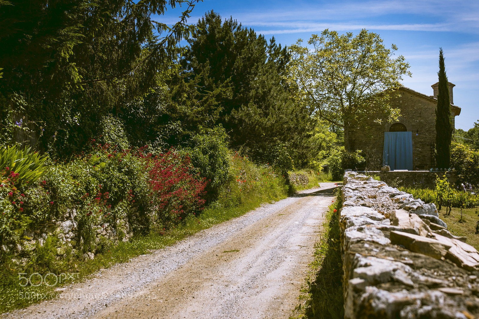 Canon EOS 80D sample photo. Countryside road photography