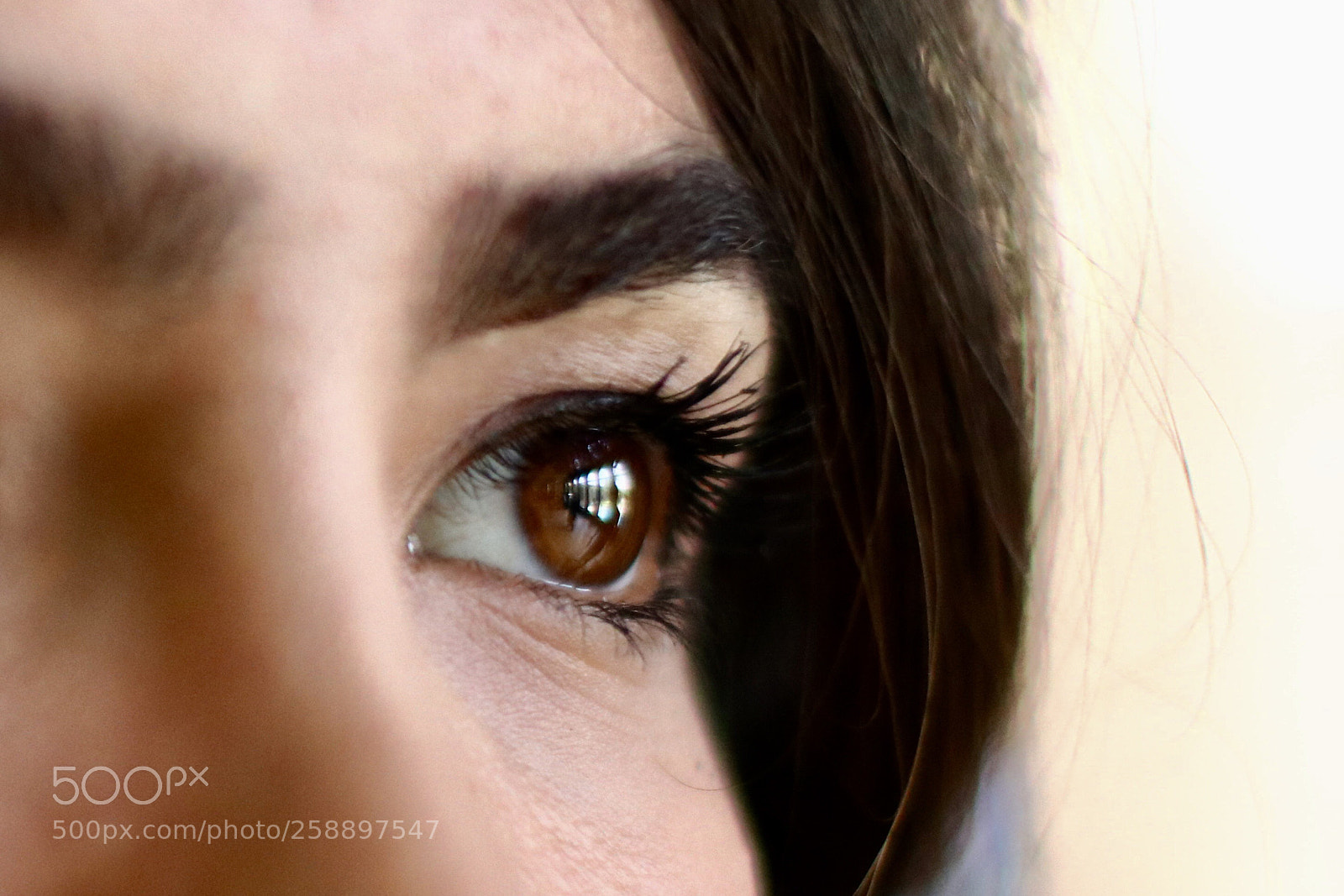Canon EOS 80D sample photo. Window to the soul photography
