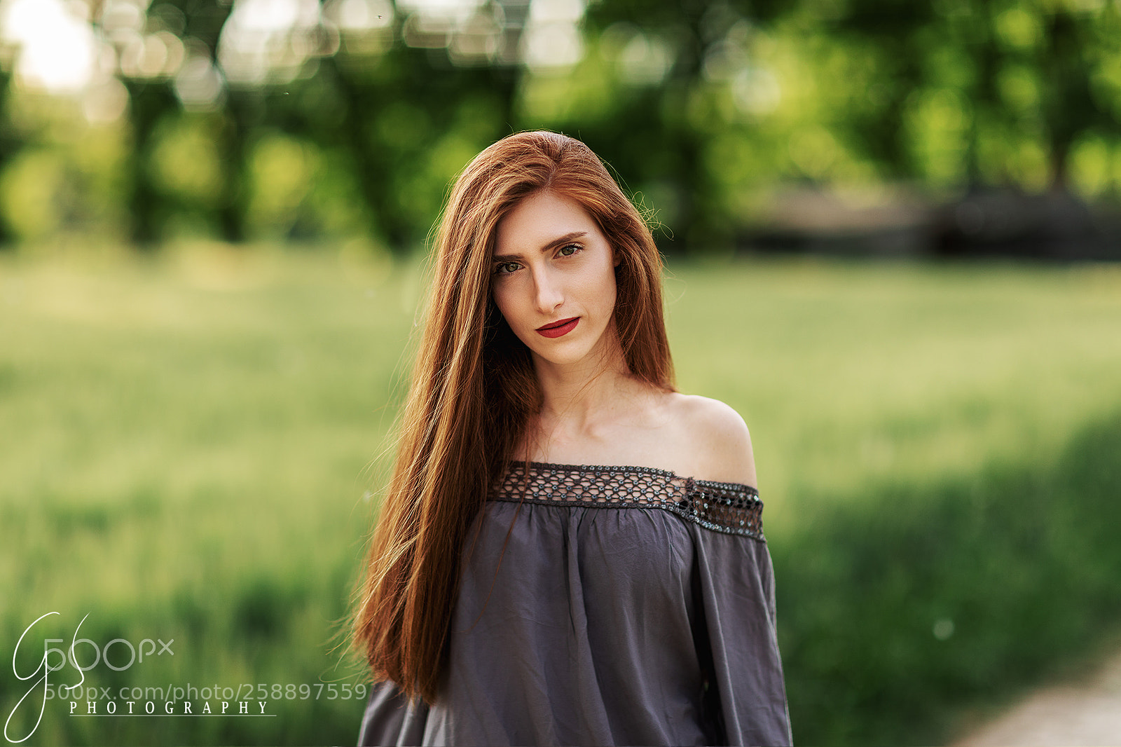 Canon EOS 5D Mark IV sample photo. The golden hour photography