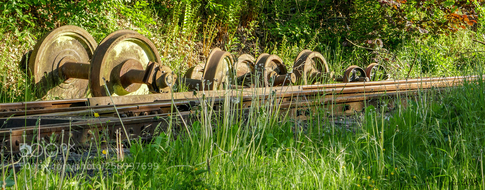 Panasonic DMC-TZ101 sample photo. Freuen wheels photography