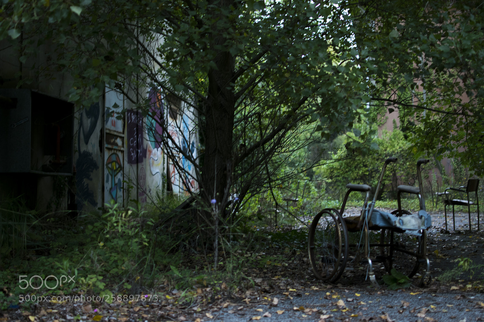 Nikon D3300 sample photo. The mental hospital photography