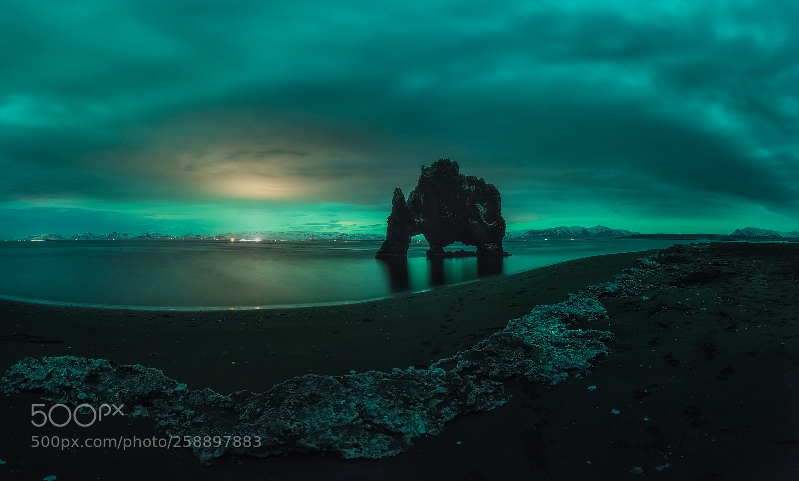 Nikon D810 sample photo. The green rhino photography