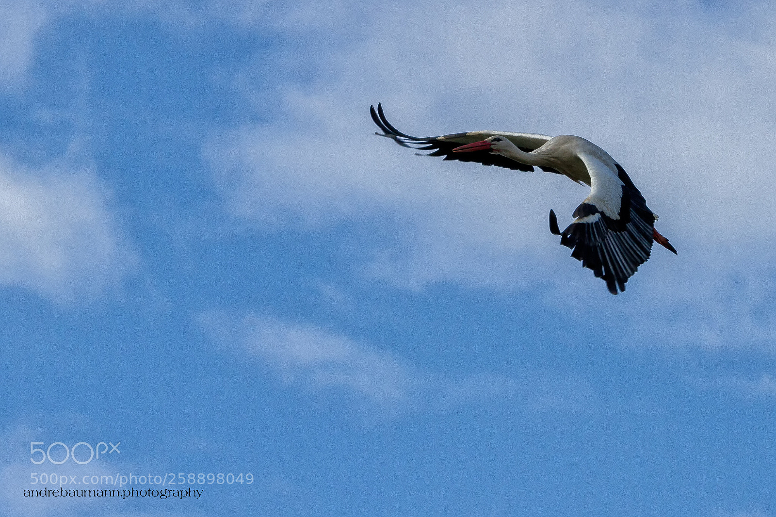 Canon EOS 7D sample photo. ...flyer photography