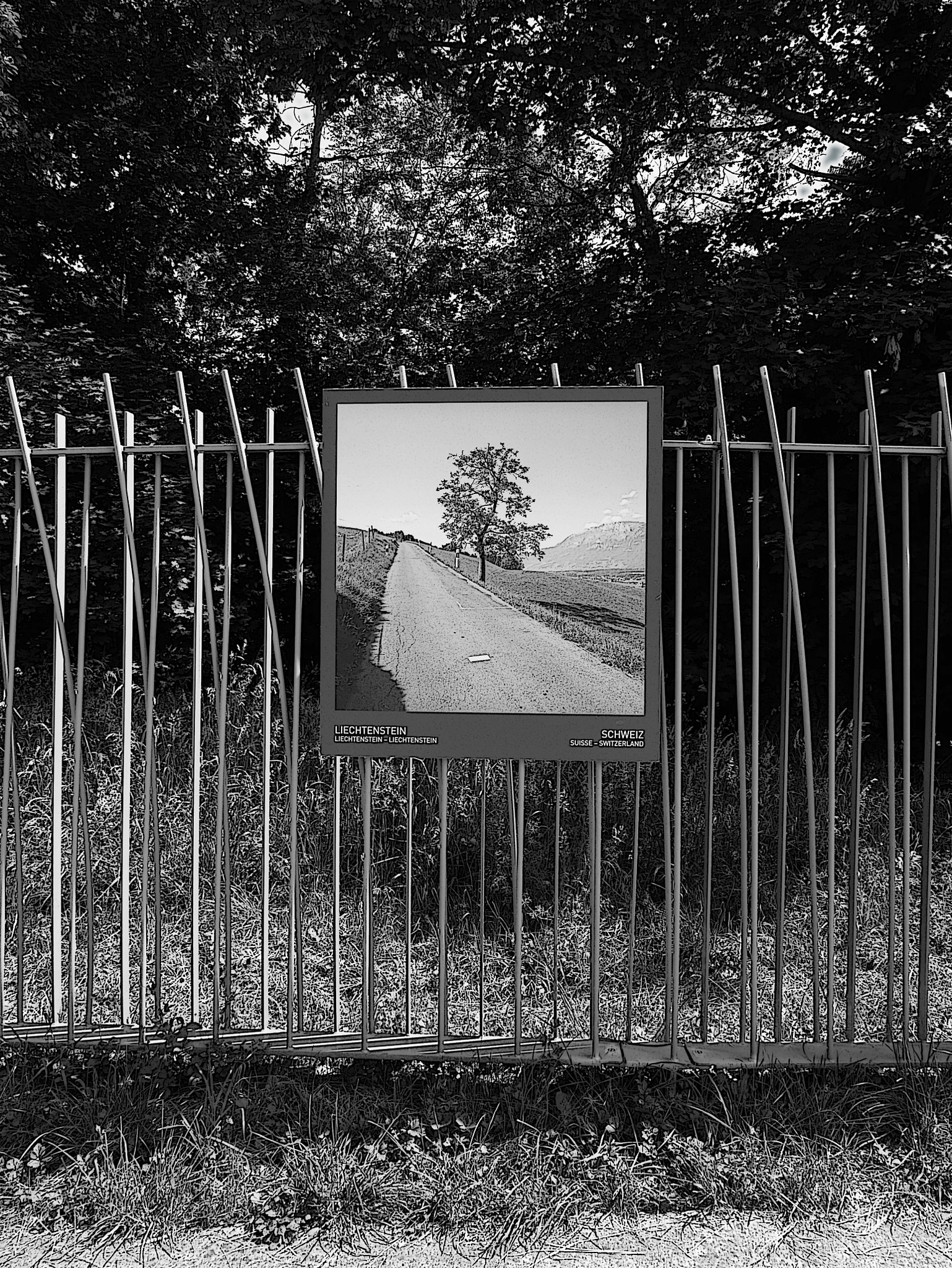 Leica D-Lux (Typ 109) sample photo. The borderlines photography