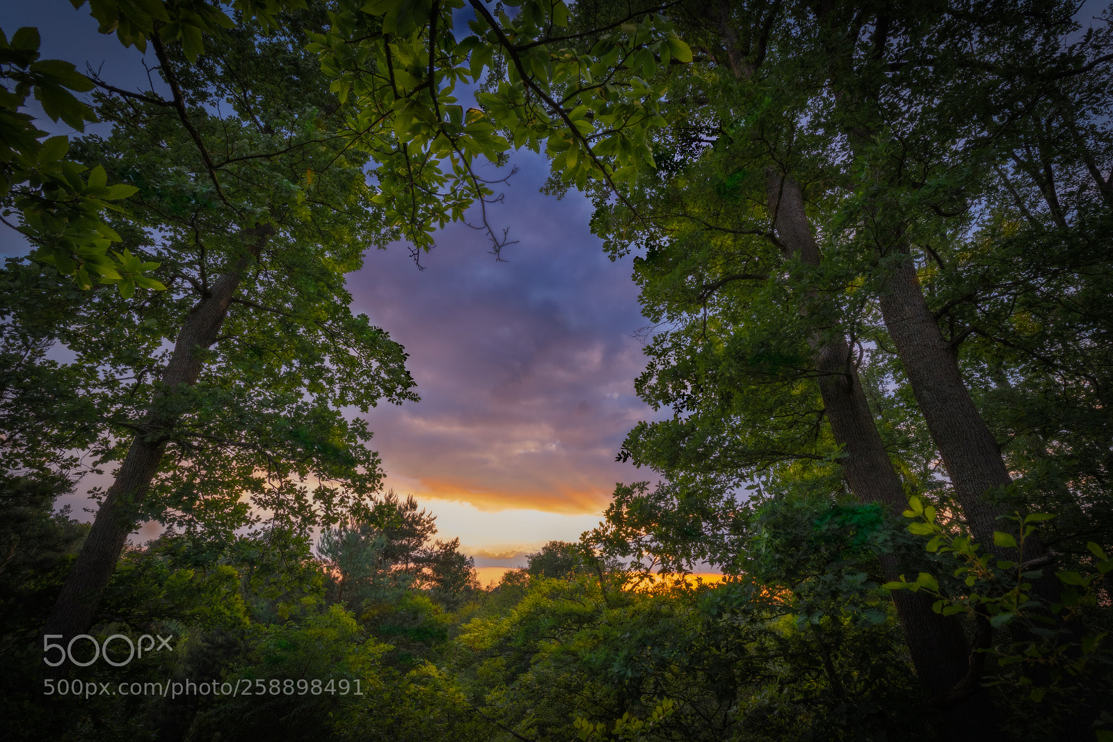 Nikon D850 sample photo. Sunset from the butte photography