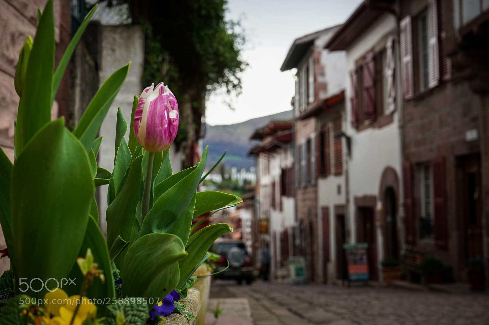 Sony a7 II sample photo. France photography