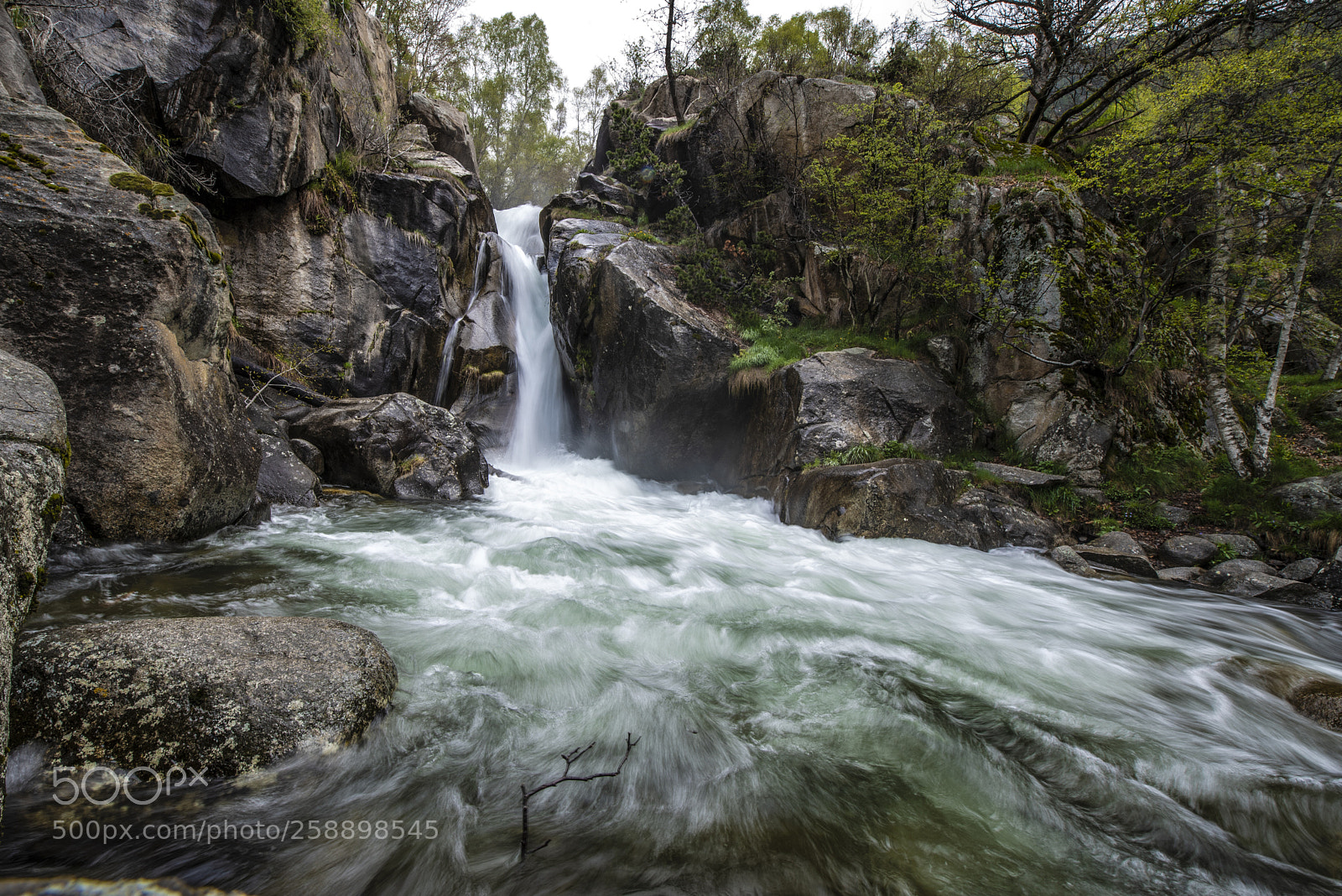 Nikon D750 sample photo. Cerdanya i photography