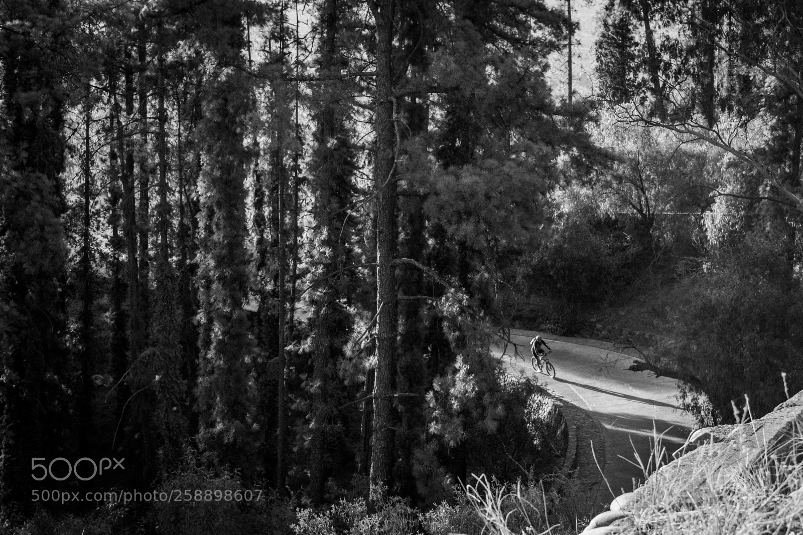 Nikon D3100 sample photo. Downhill photography