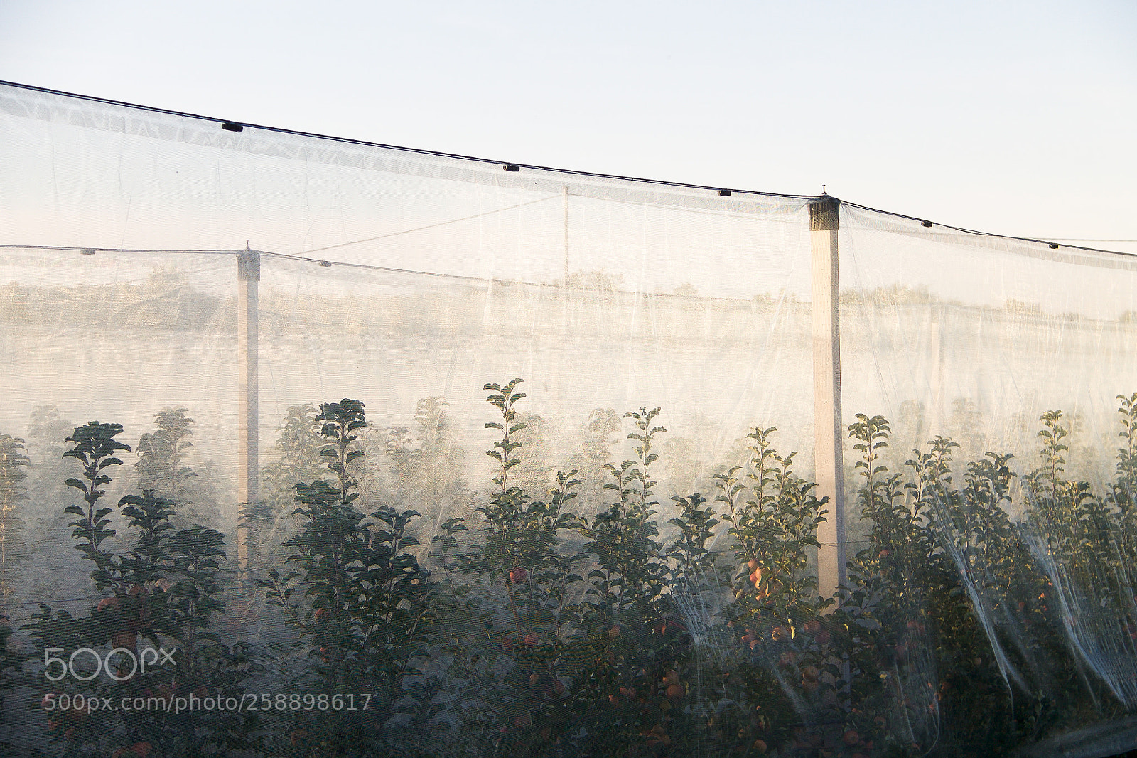 Canon EOS 1100D (EOS Rebel T3 / EOS Kiss X50) sample photo. Archivio photography