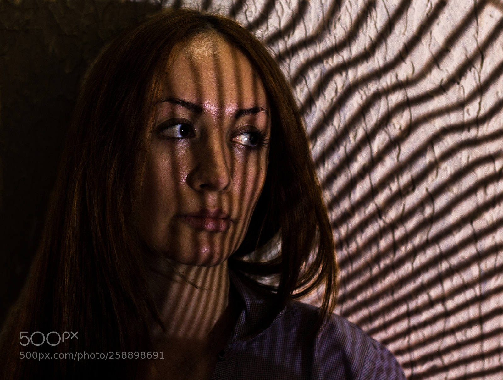 Canon EOS 650D (EOS Rebel T4i / EOS Kiss X6i) sample photo. Farinaz... photography