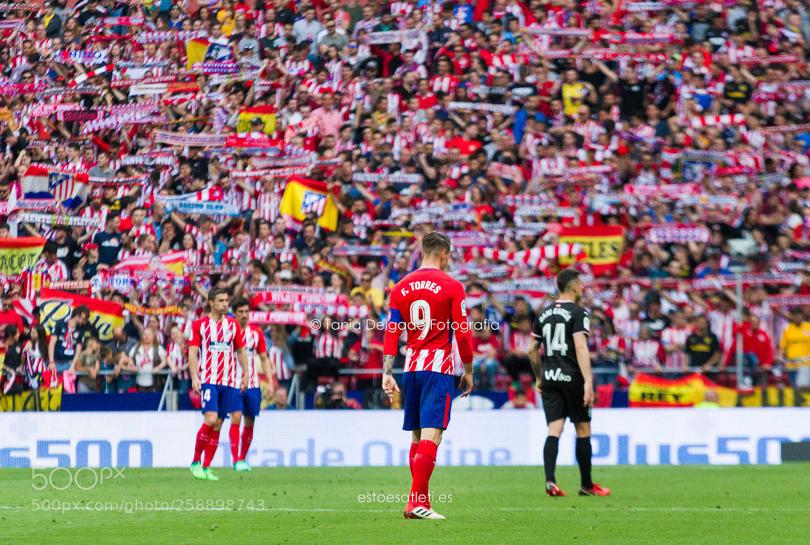Canon EOS 7D sample photo. Fernando torres photography