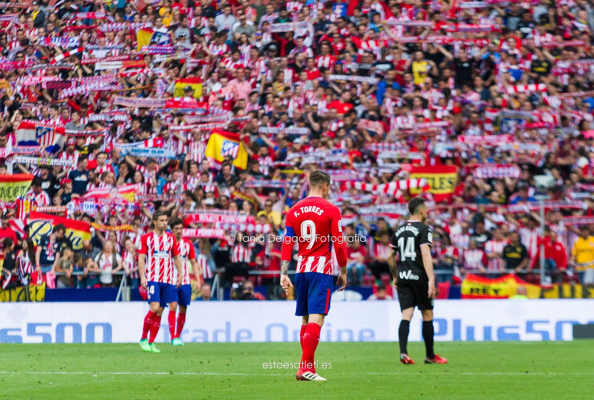 Fernando Torres