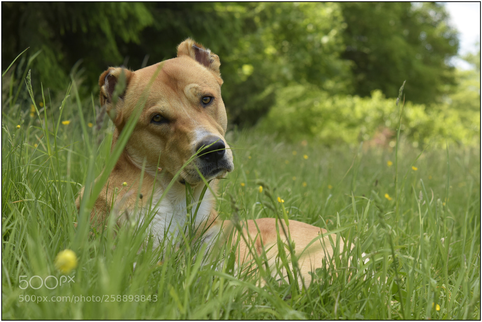 Nikon D3300 sample photo. The portraits of my photography