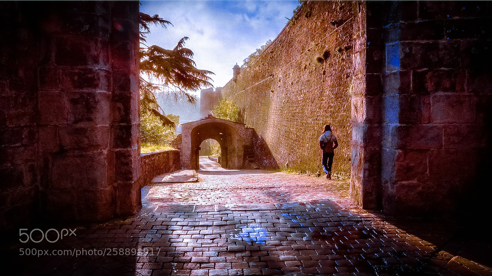 Nikon D70s sample photo. Camino de santiago - 42/45 photography