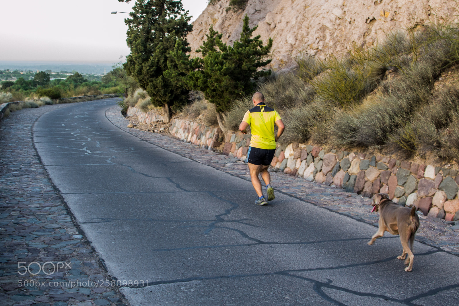 Nikon D3100 sample photo. Running partner photography