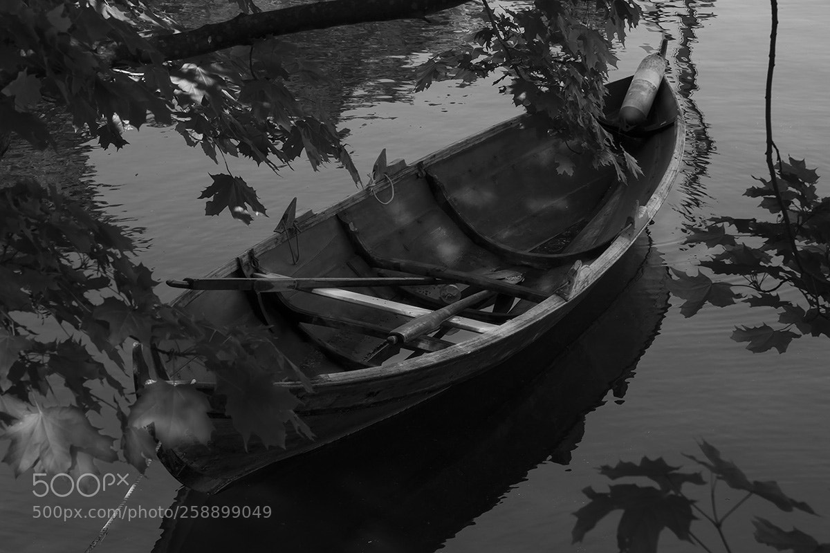 Sony ILCA-77M2 sample photo. The rowing boat photography