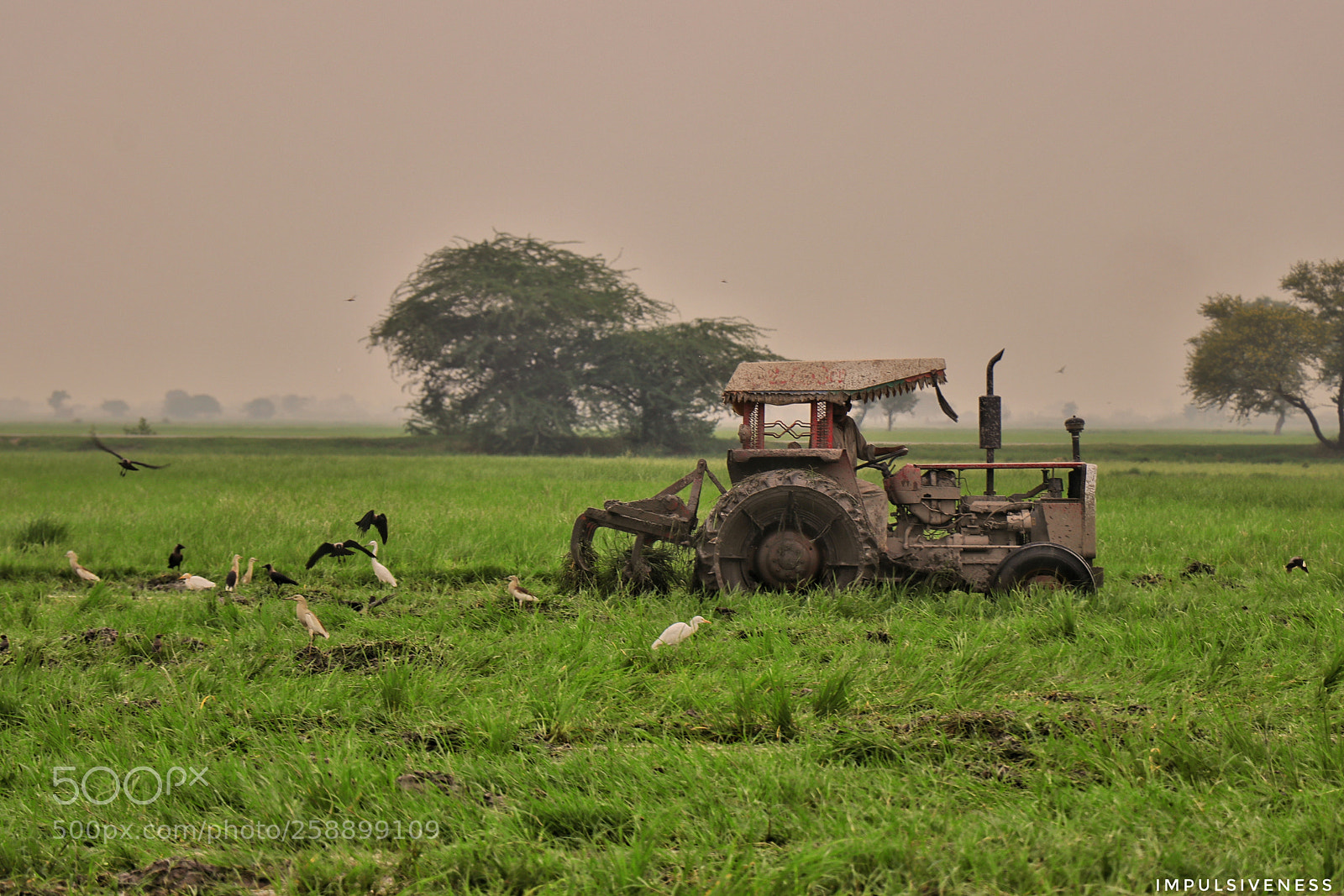 Canon EOS 80D sample photo. Farm photography