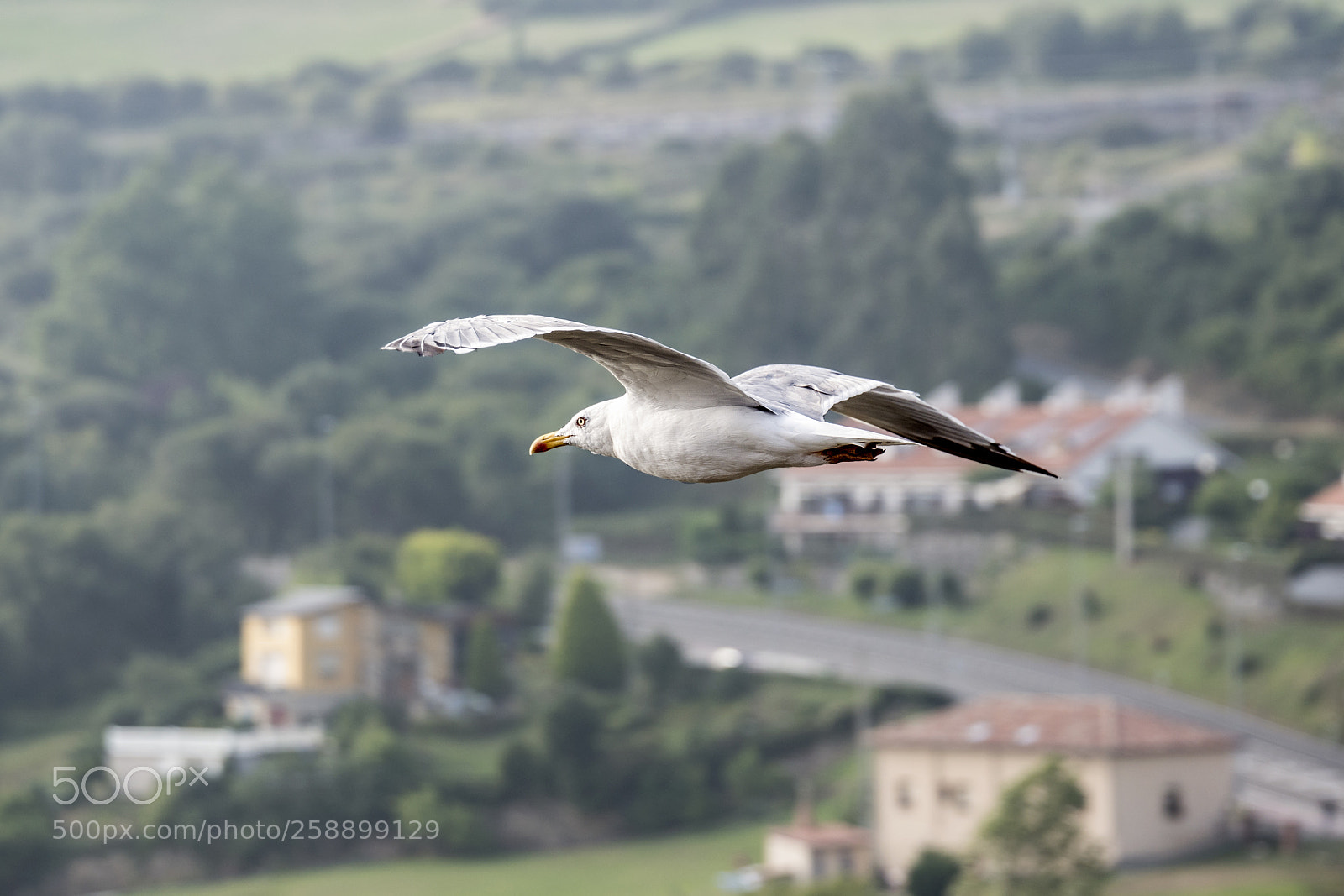 Nikon D610 sample photo. Cantabria 2 photography