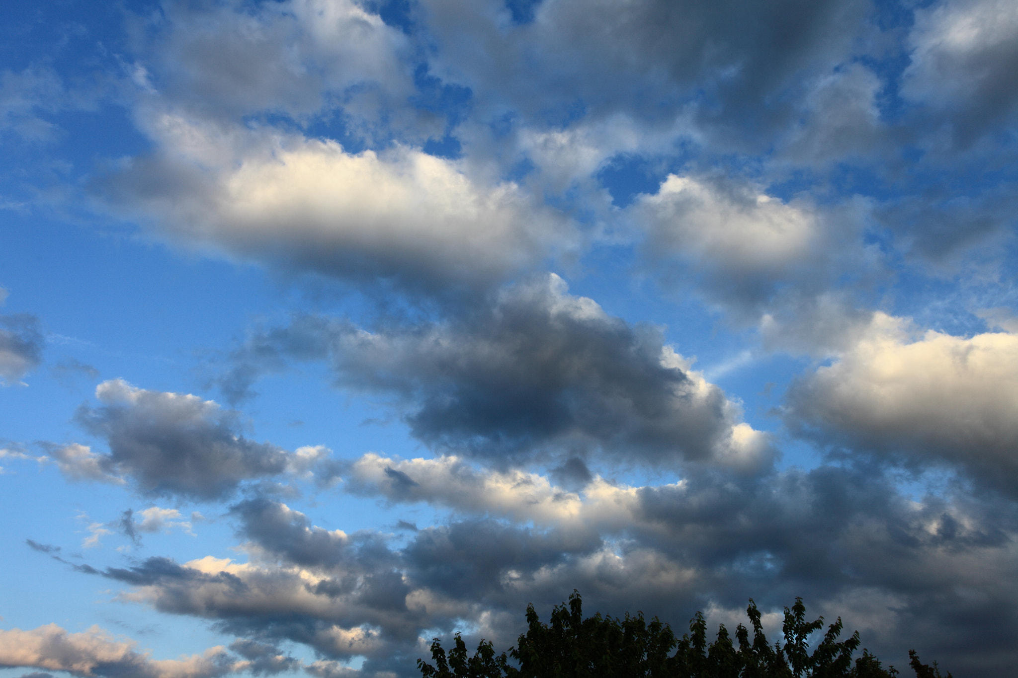 Canon EF 17-40mm F4L USM sample photo. The cloudy sky photography