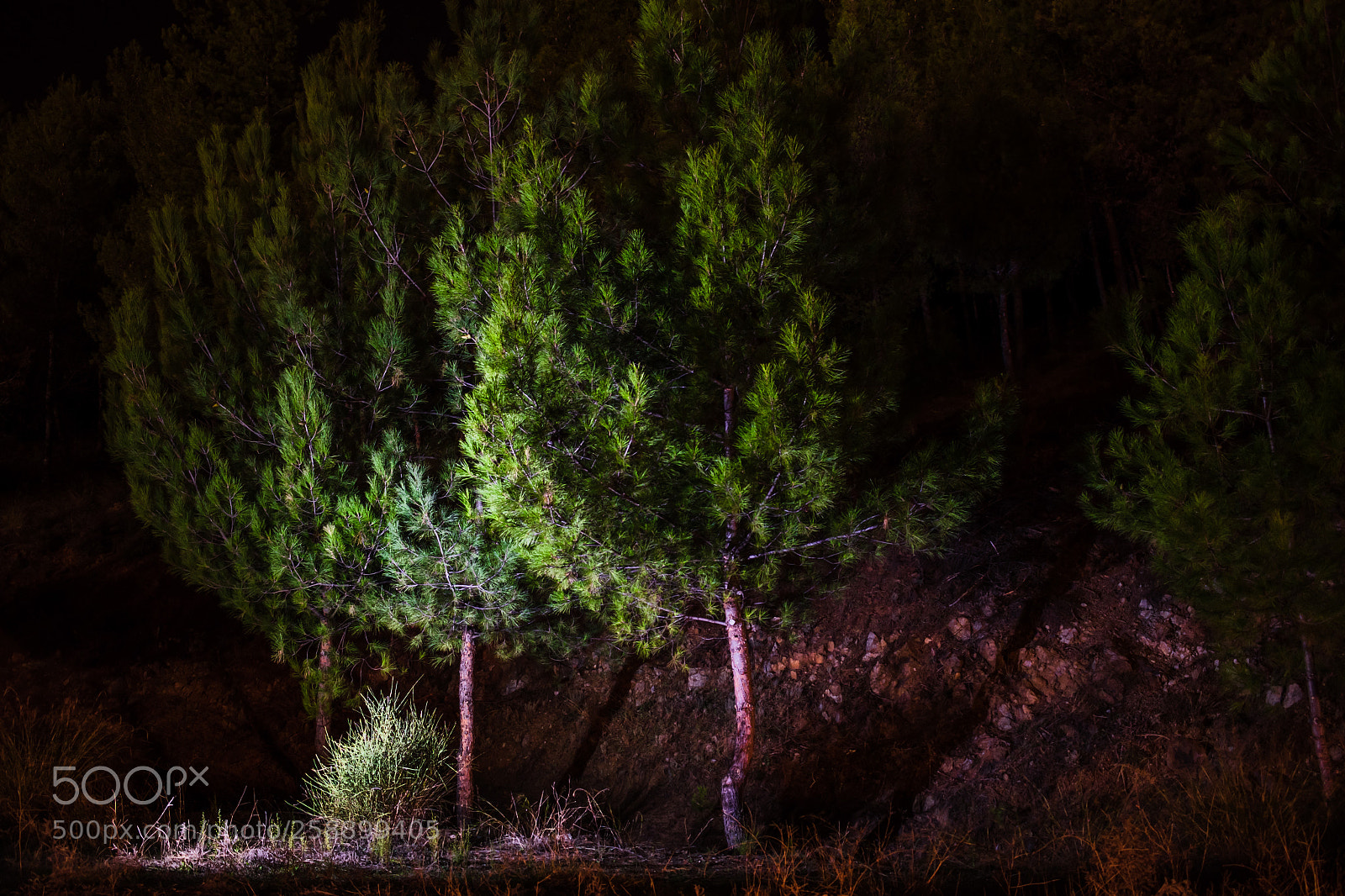 Nikon D5500 sample photo. Lightpaint photography