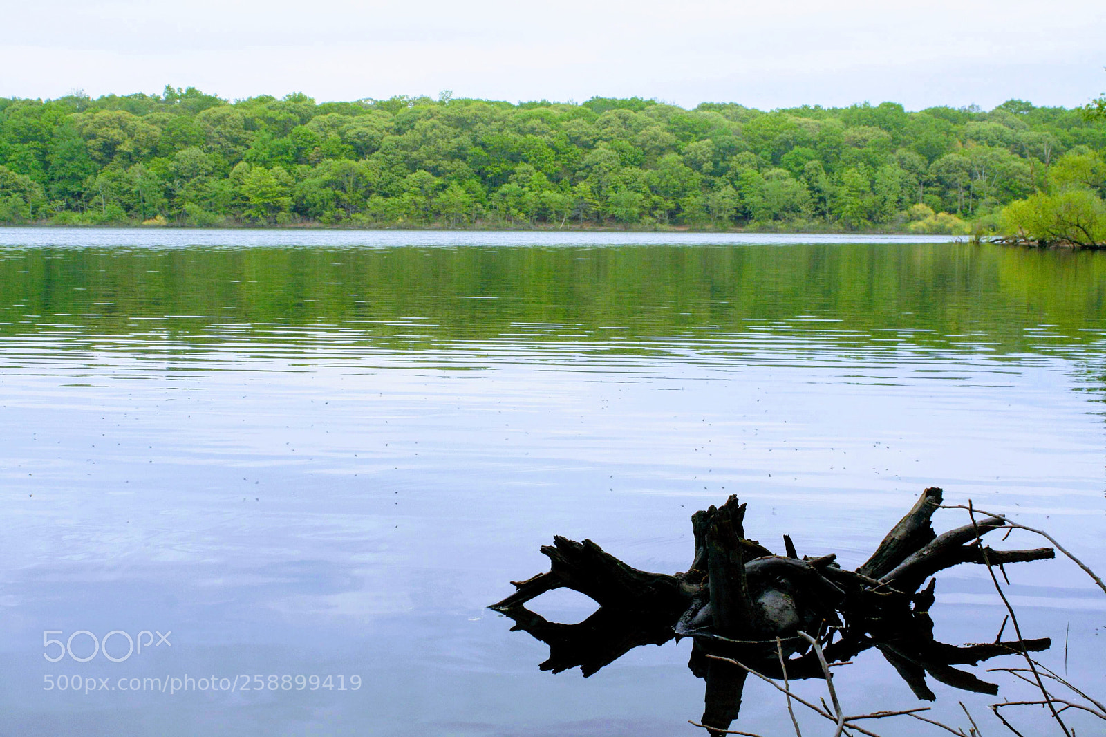 Canon EOS 1000D (EOS Digital Rebel XS / EOS Kiss F) sample photo. Hempstead state lake photography