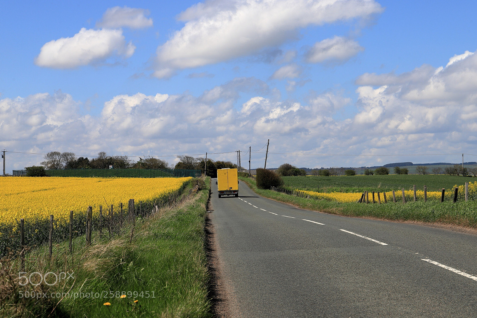 Canon EOS 6D Mark II sample photo. Colour co-ordination  photography