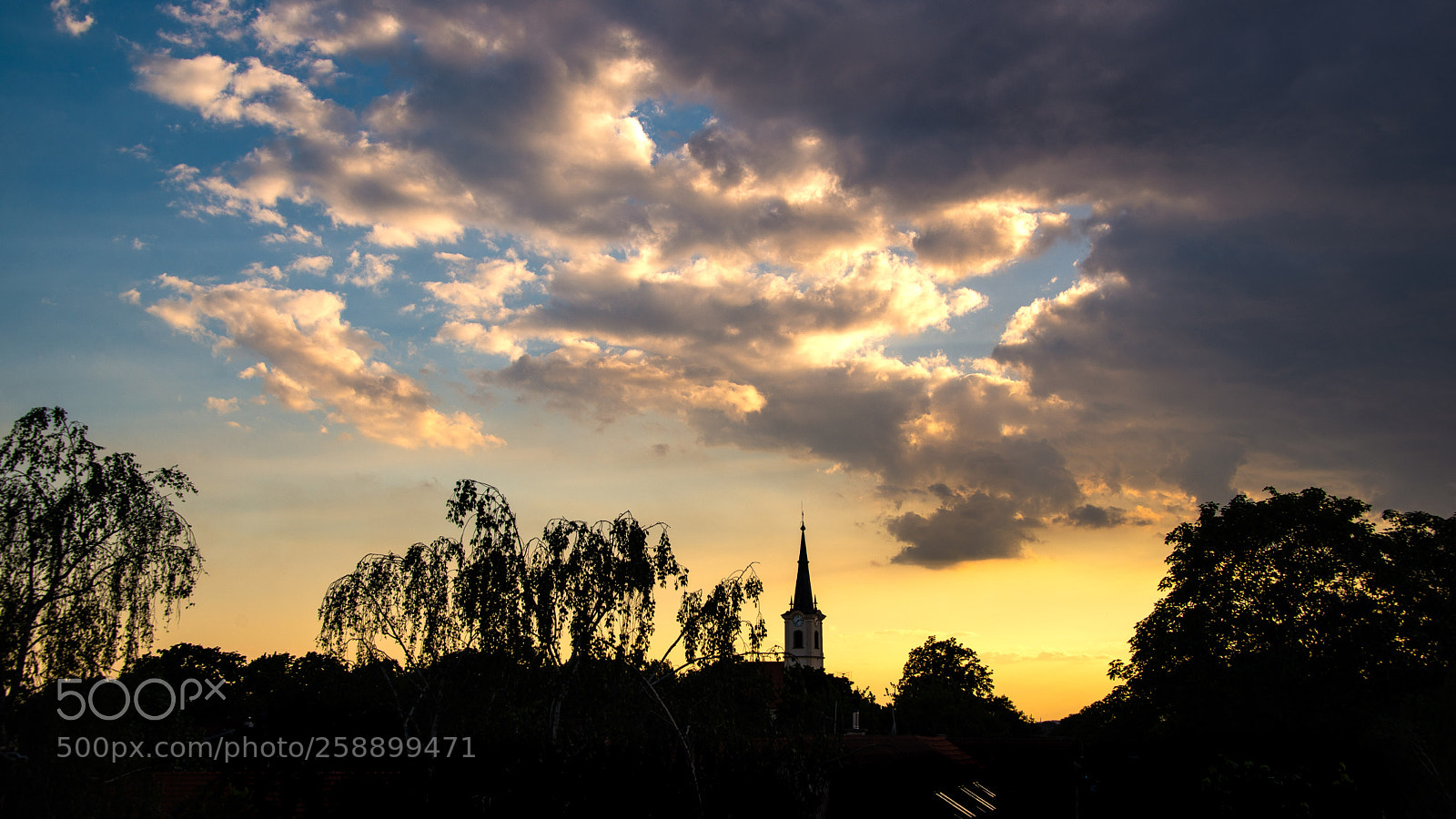 Nikon D610 sample photo. Todays sunset photography